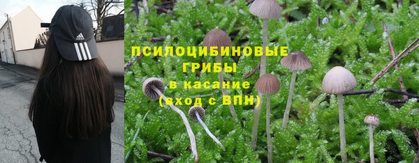 стафф Алексеевка