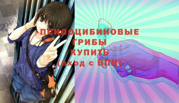 круглые Абаза