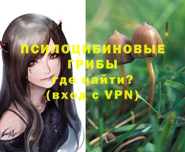 стафф Алексеевка
