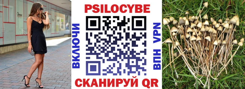 Псилоцибиновые грибы прущие грибы  Заозёрный 